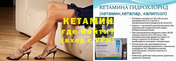 крисы Богородицк