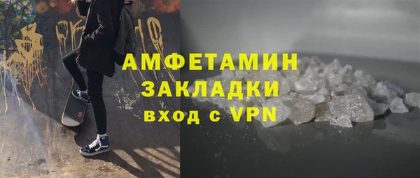 крисы Богородицк
