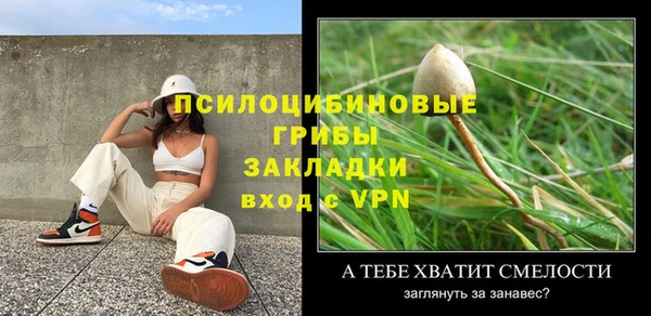 крисы Богородицк