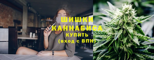 крисы Богородицк