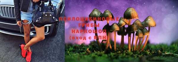 марки lsd Богданович