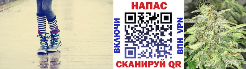 Марихуана тримм  где продают наркотики  Бородино 